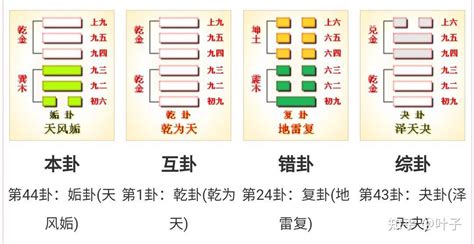 天风姤|易经第四十四卦姤卦详解